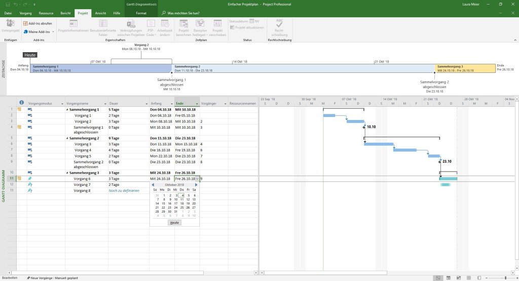 Ein Screenshot von MS Project